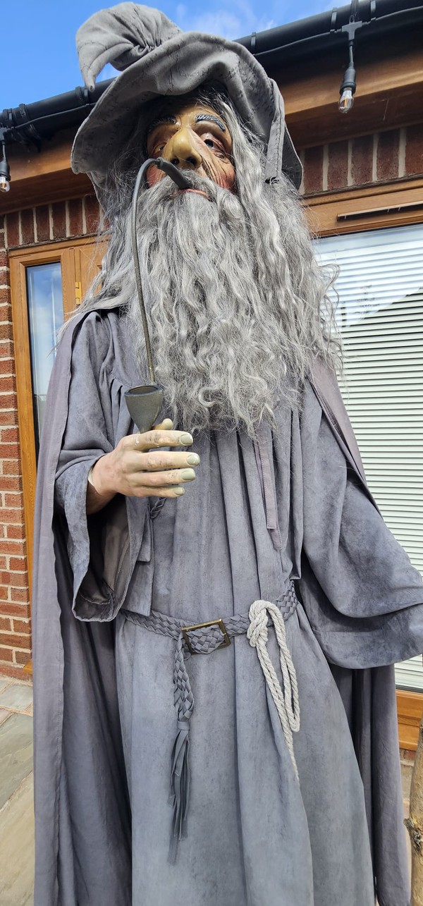Dumbledore Wizard