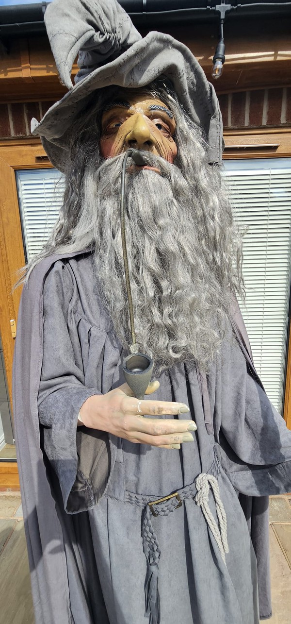 Harry Potter Wizard