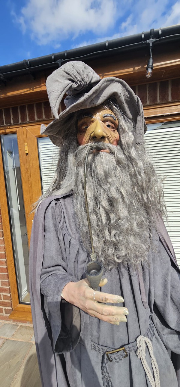 Harry Potter Wizard Albus