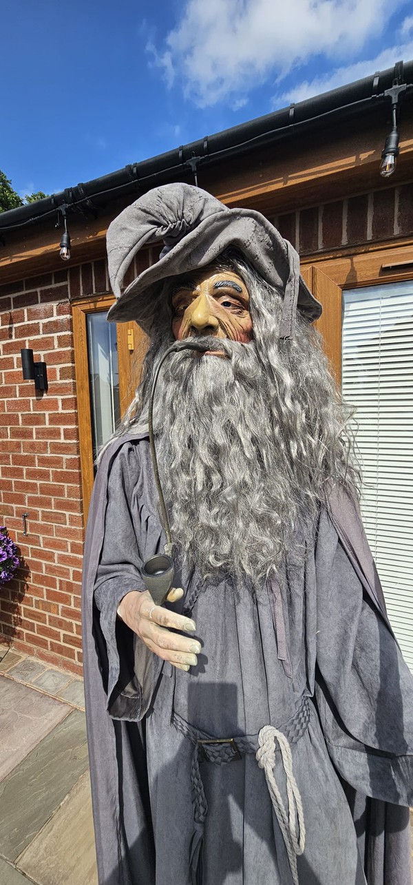 Harry Potter Wizard Dumbledore