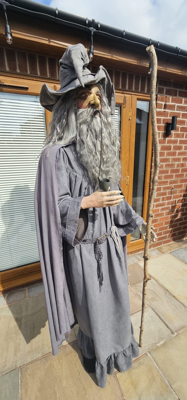 Harry Potter Wizard  Gandalf